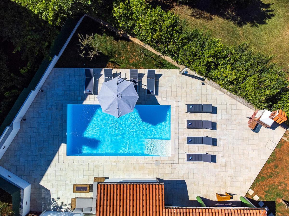 Big Swimming Pool Apartment Monvidal Пула Екстериор снимка